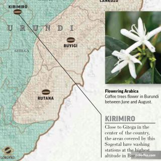 KIRIMIRO