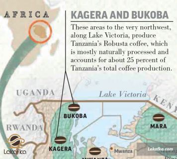 کاگرا (KAGERA) و بوکوبا (BUKOBA)