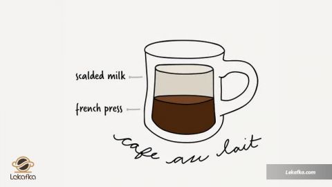 انواع قهوه ها