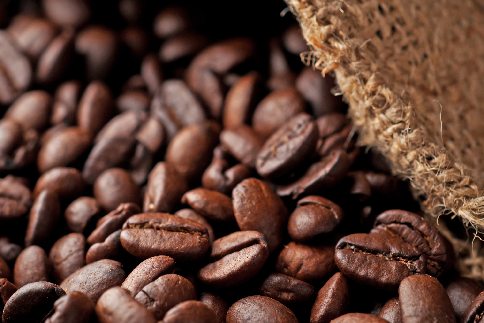 قهوه سوماترا (عربیکا)